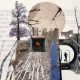 Collage 12 final SS